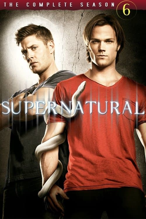Season 6 poster