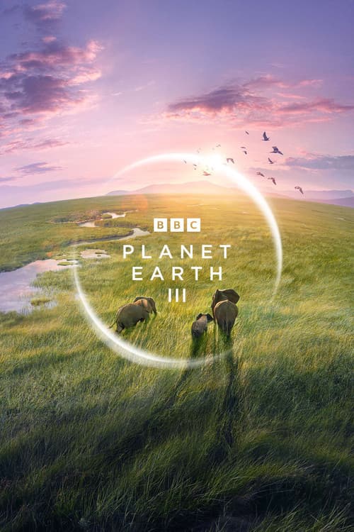 Miniseries poster