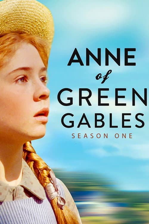 Miniseries poster