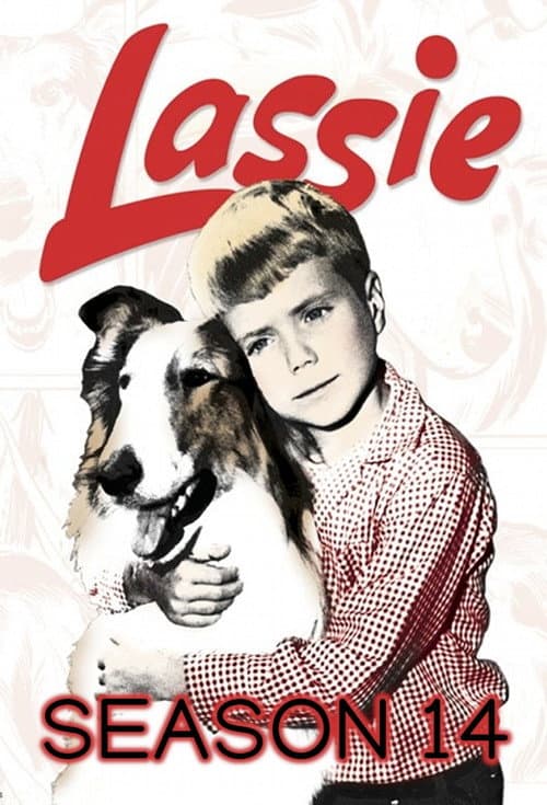 Season 14 poster