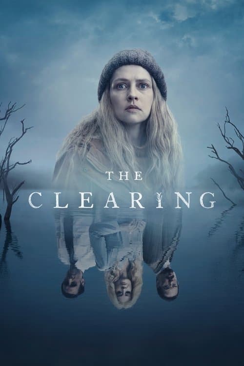 Miniseries poster