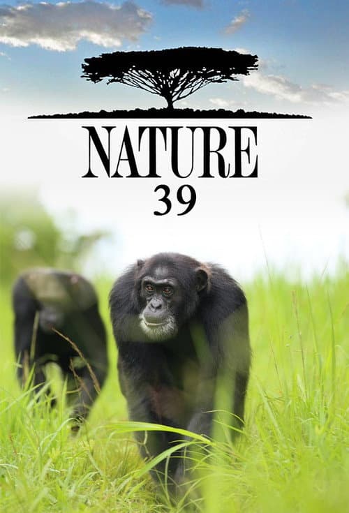 Season 39 poster