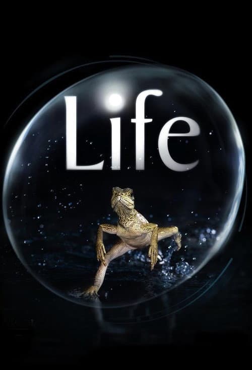 Season 1 poster