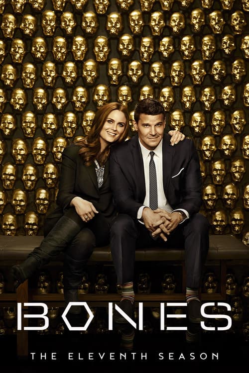 Season 11 poster