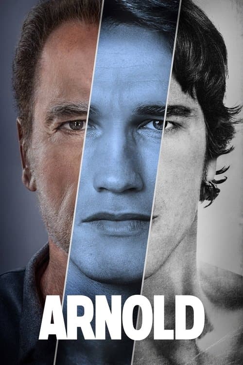 Limited Series poster