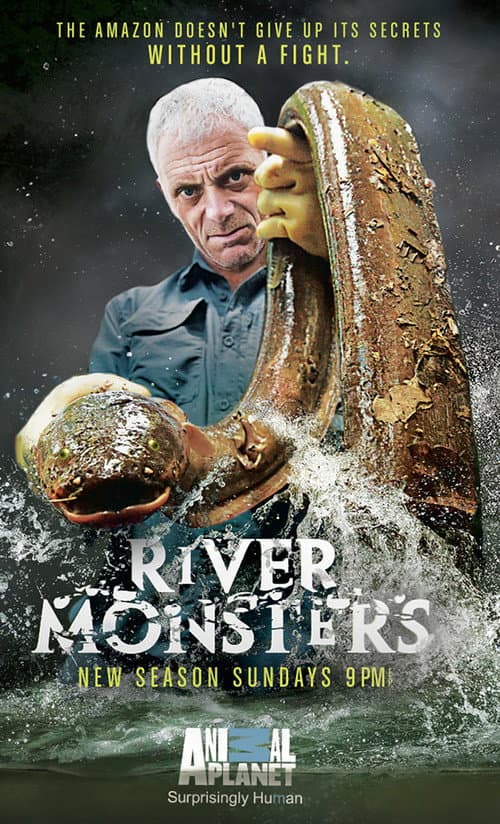 Season 6 poster