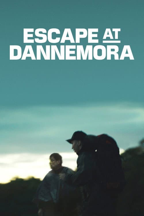 Miniseries poster