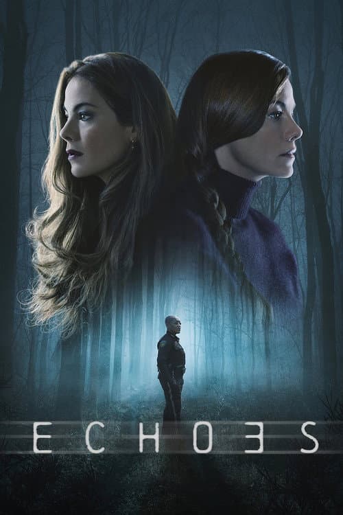 Limited Series poster