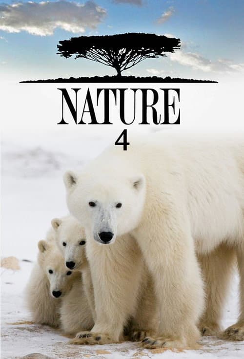 Season 4 poster