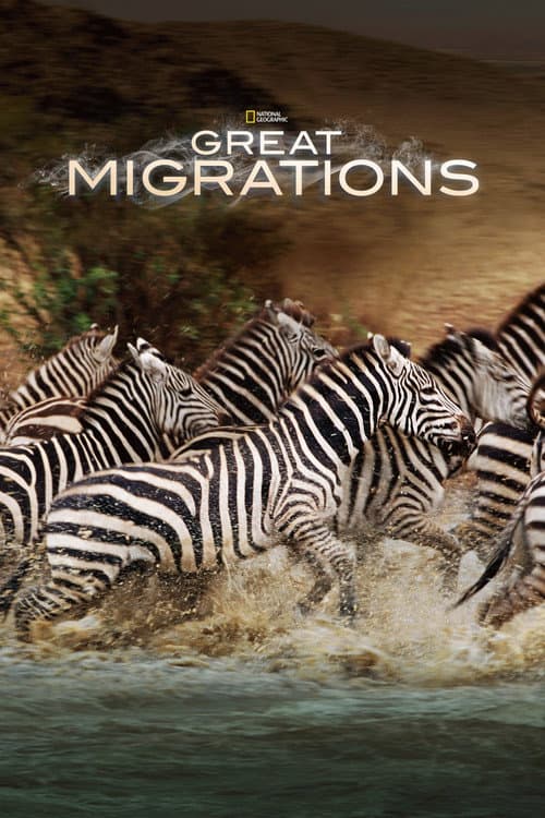 Miniseries poster