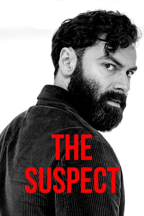 Limited Series poster
