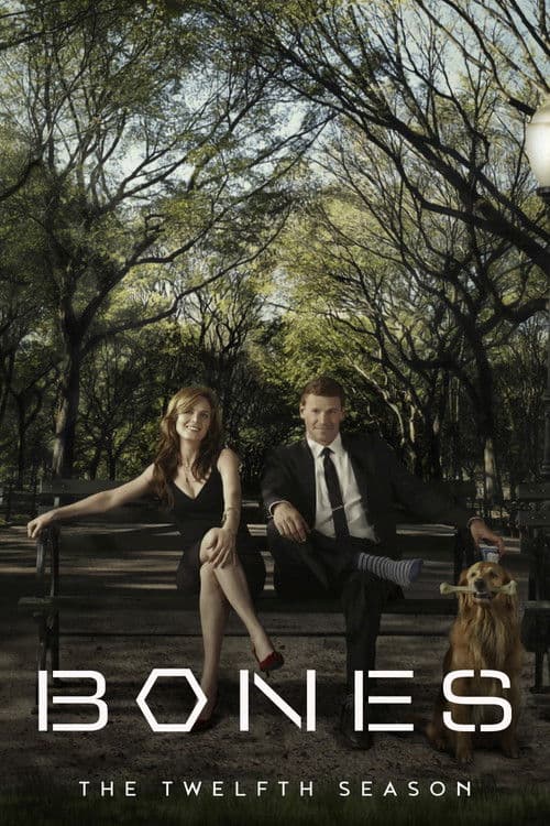 Season 12 - The Final Chapter poster