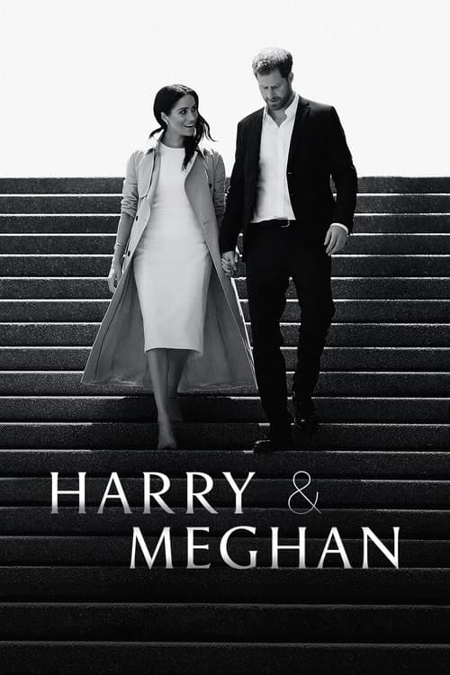 Limited Series poster