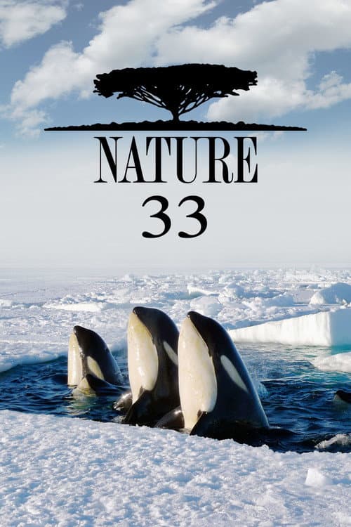 Season 33 poster