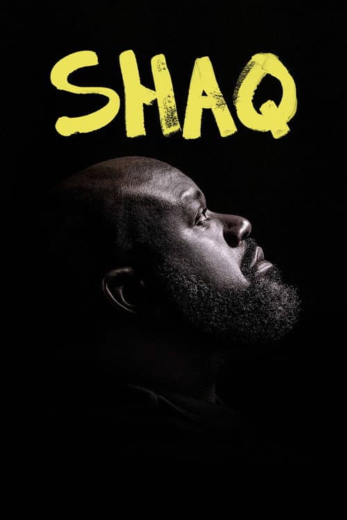 Miniseries poster