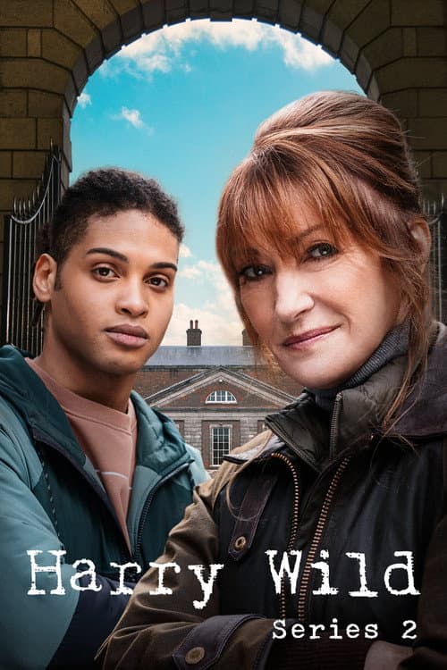 Series 2 poster