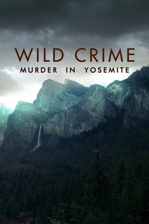 Murder in Yosemite poster
