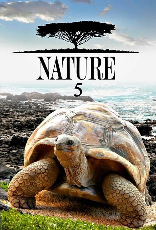 Season 5 poster