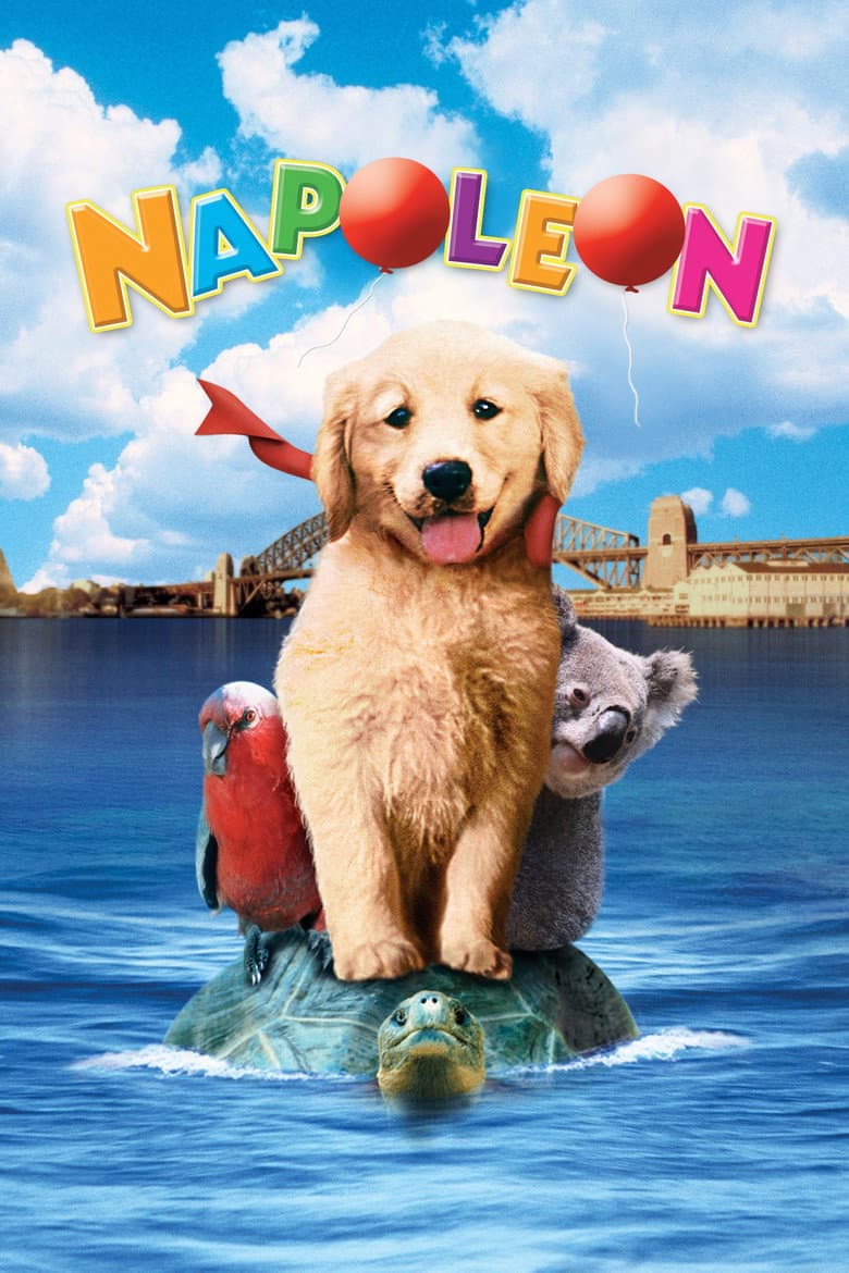 Napoleon poster