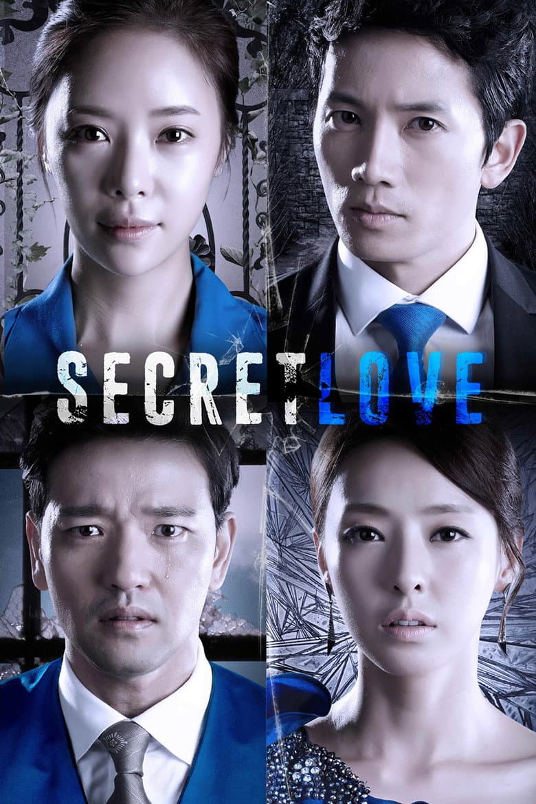Secret Love poster