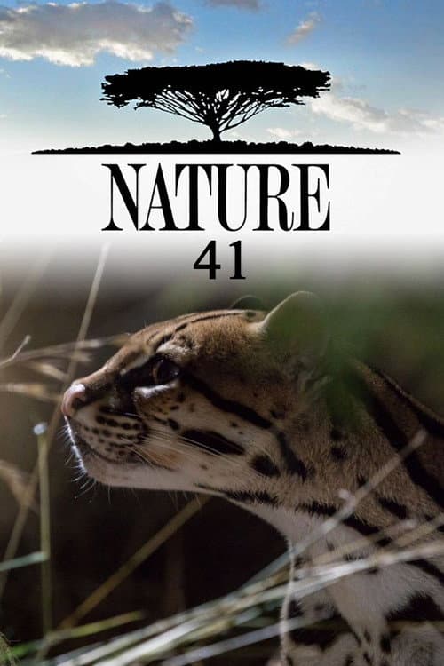 Season 41 poster