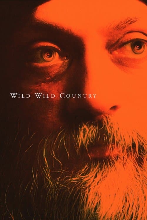 Limited Series poster