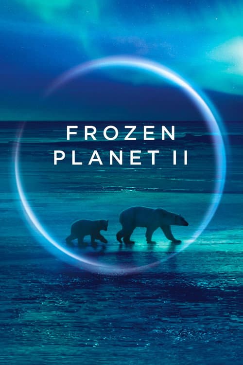 Miniseries poster