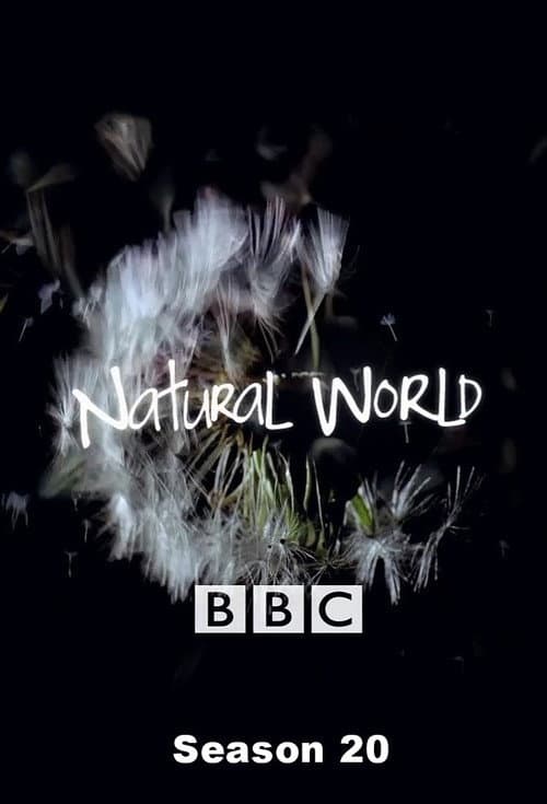 Season 20 poster