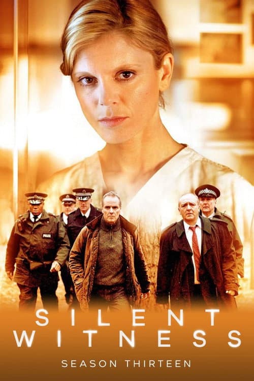 Series 13 poster