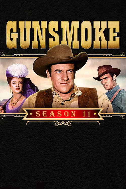 Season 11 poster
